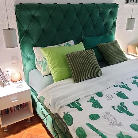Green Cactus Rooms - Unique And Cozy House Senta المظهر الخارجي الصورة