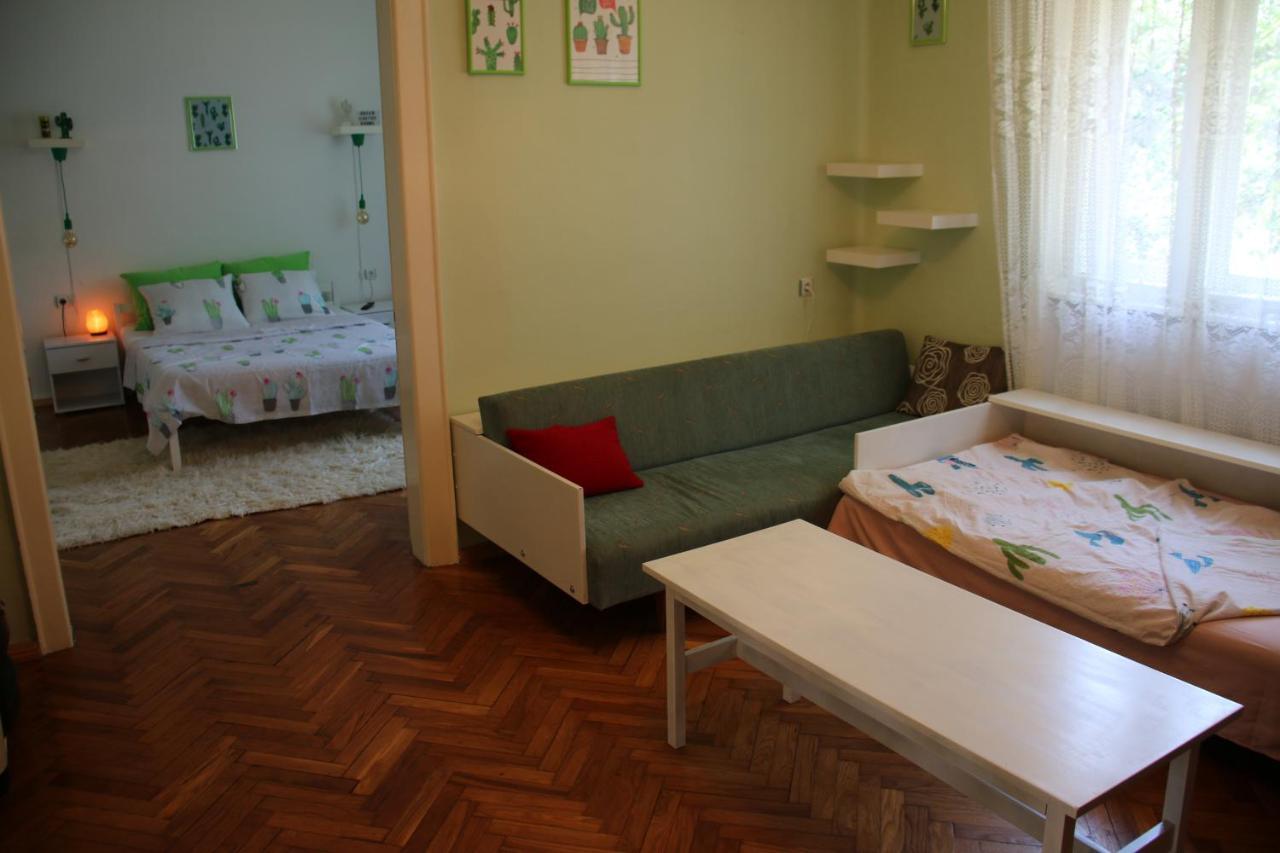 Green Cactus Rooms - Unique And Cozy House Senta المظهر الخارجي الصورة