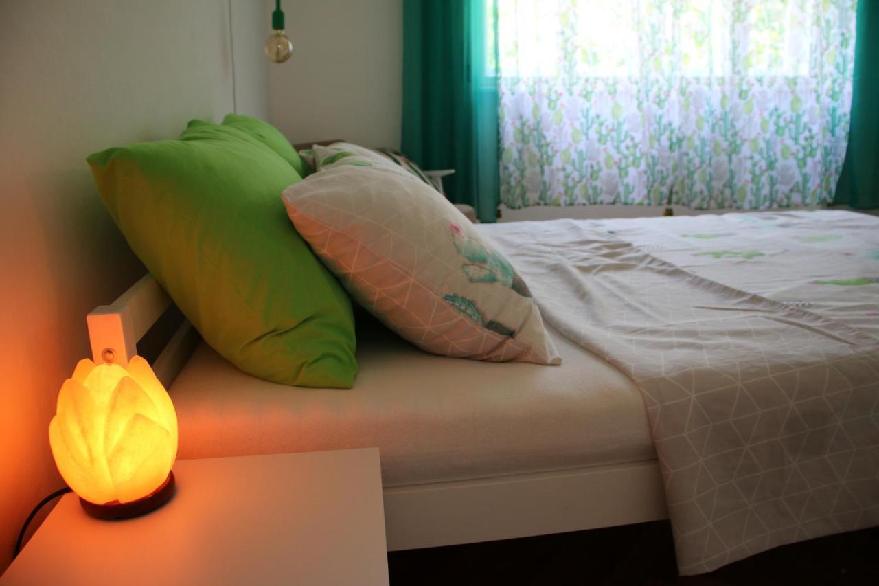 Green Cactus Rooms - Unique And Cozy House Senta المظهر الخارجي الصورة