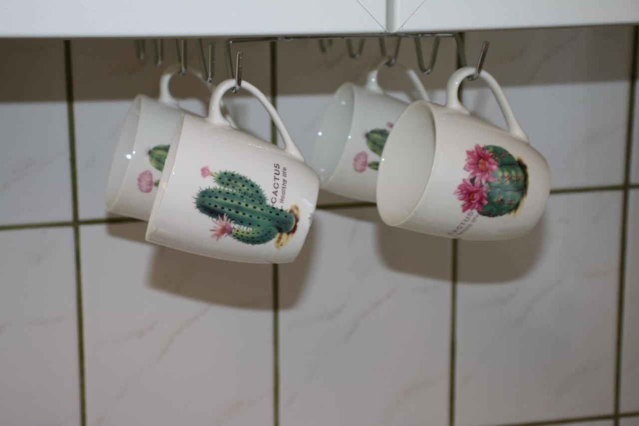 Green Cactus Rooms - Unique And Cozy House Senta المظهر الخارجي الصورة