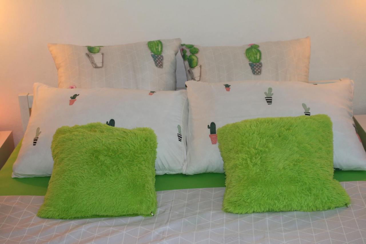 Green Cactus Rooms - Unique And Cozy House Senta المظهر الخارجي الصورة