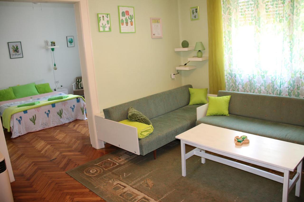 Green Cactus Rooms - Unique And Cozy House Senta المظهر الخارجي الصورة