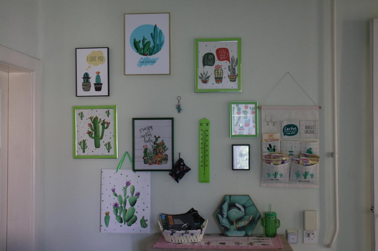 Green Cactus Rooms - Unique And Cozy House Senta المظهر الخارجي الصورة