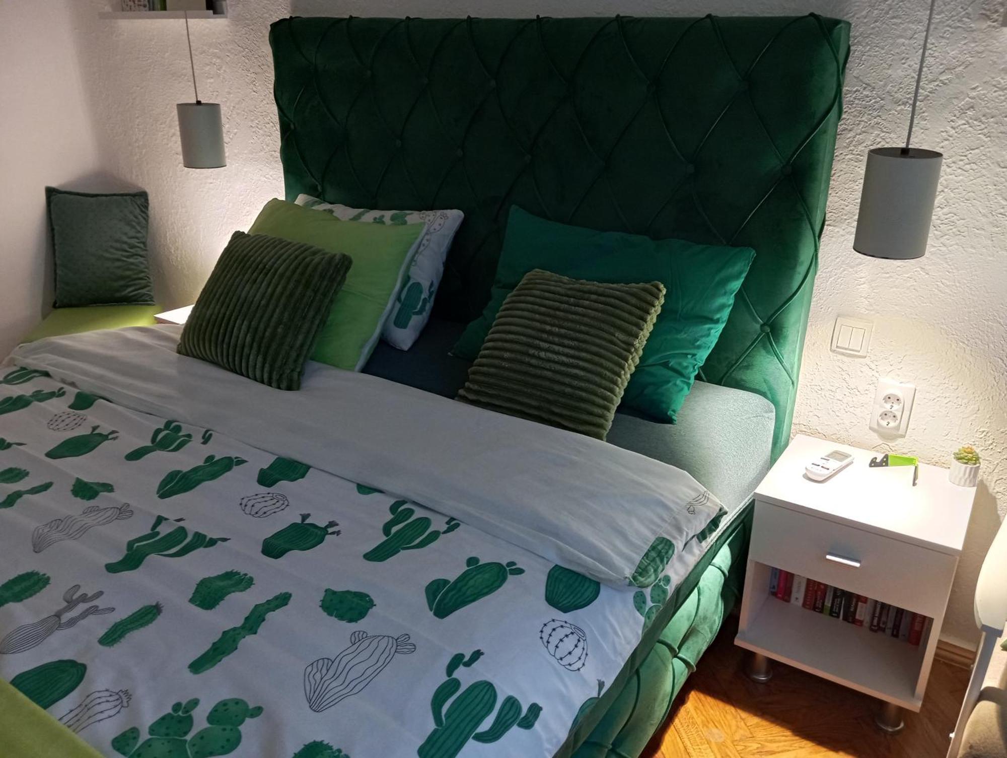 Green Cactus Rooms - Unique And Cozy House Senta المظهر الخارجي الصورة