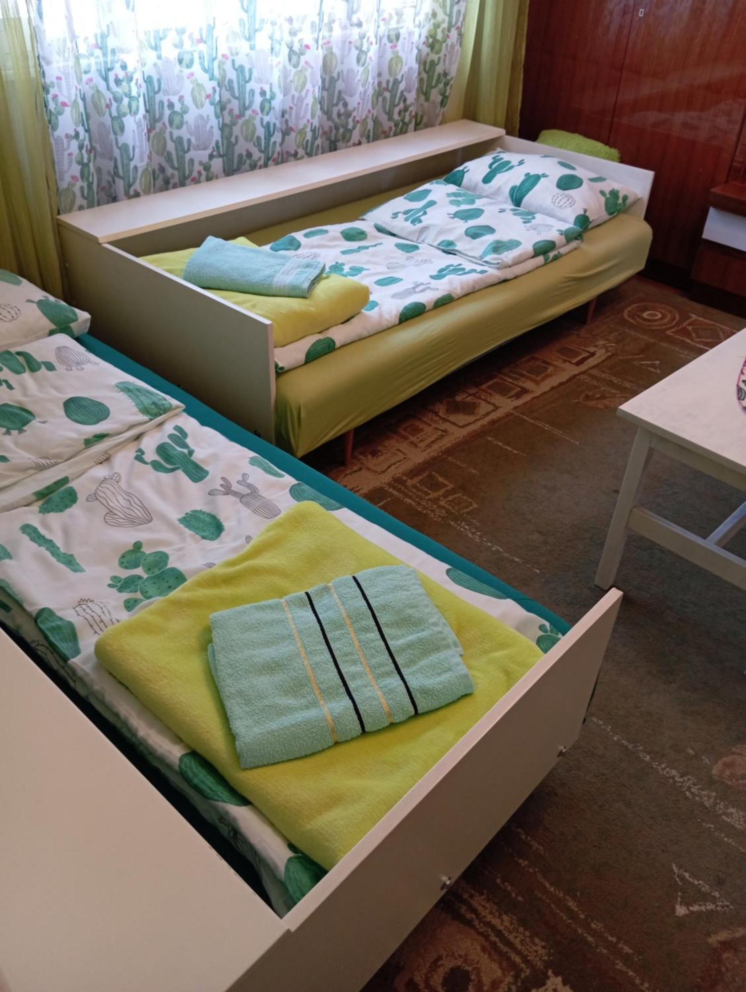 Green Cactus Rooms - Unique And Cozy House Senta المظهر الخارجي الصورة