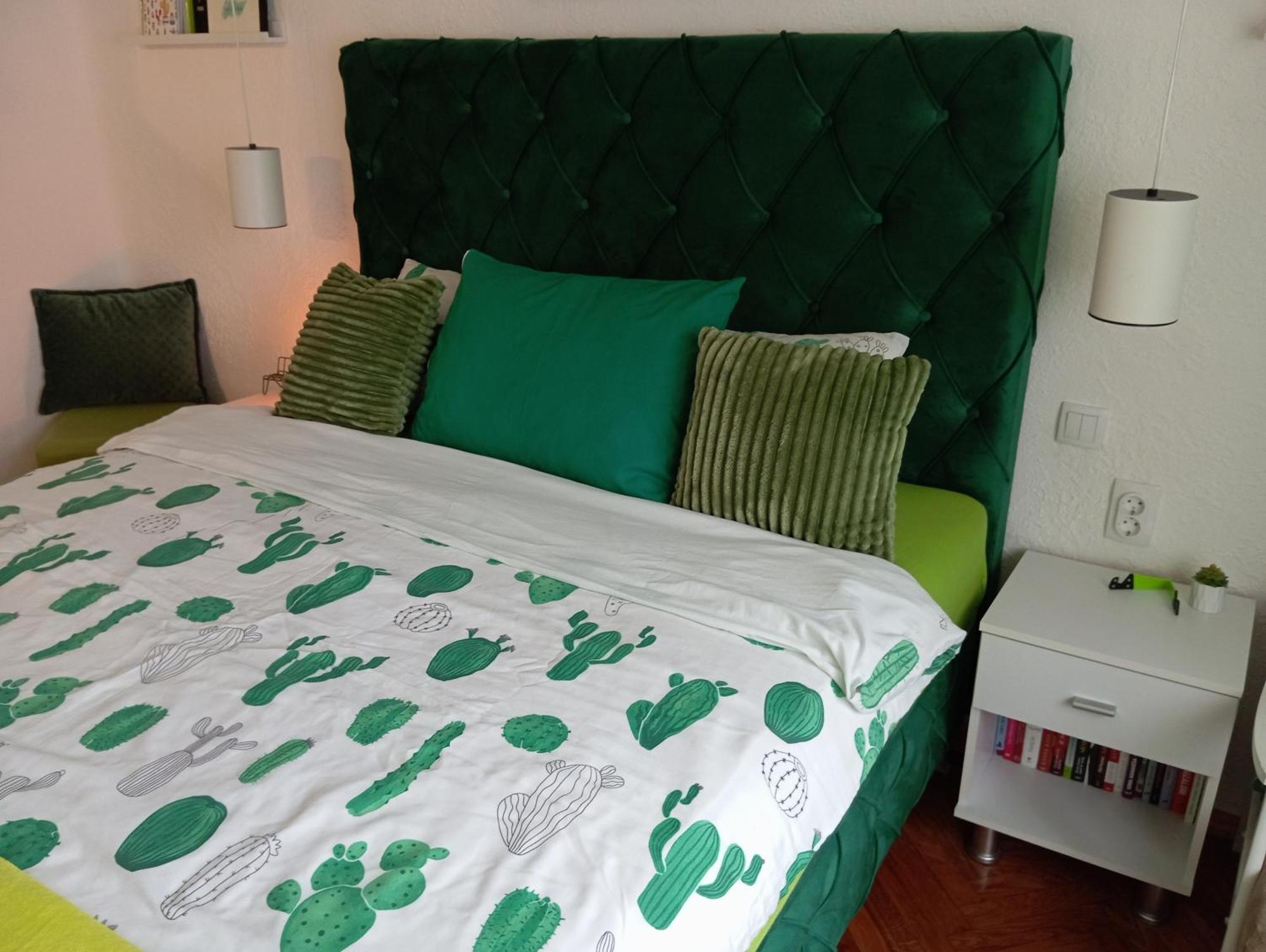 Green Cactus Rooms - Unique And Cozy House Senta المظهر الخارجي الصورة