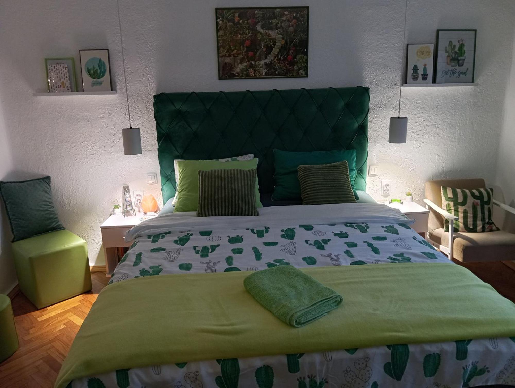 Green Cactus Rooms - Unique And Cozy House Senta المظهر الخارجي الصورة
