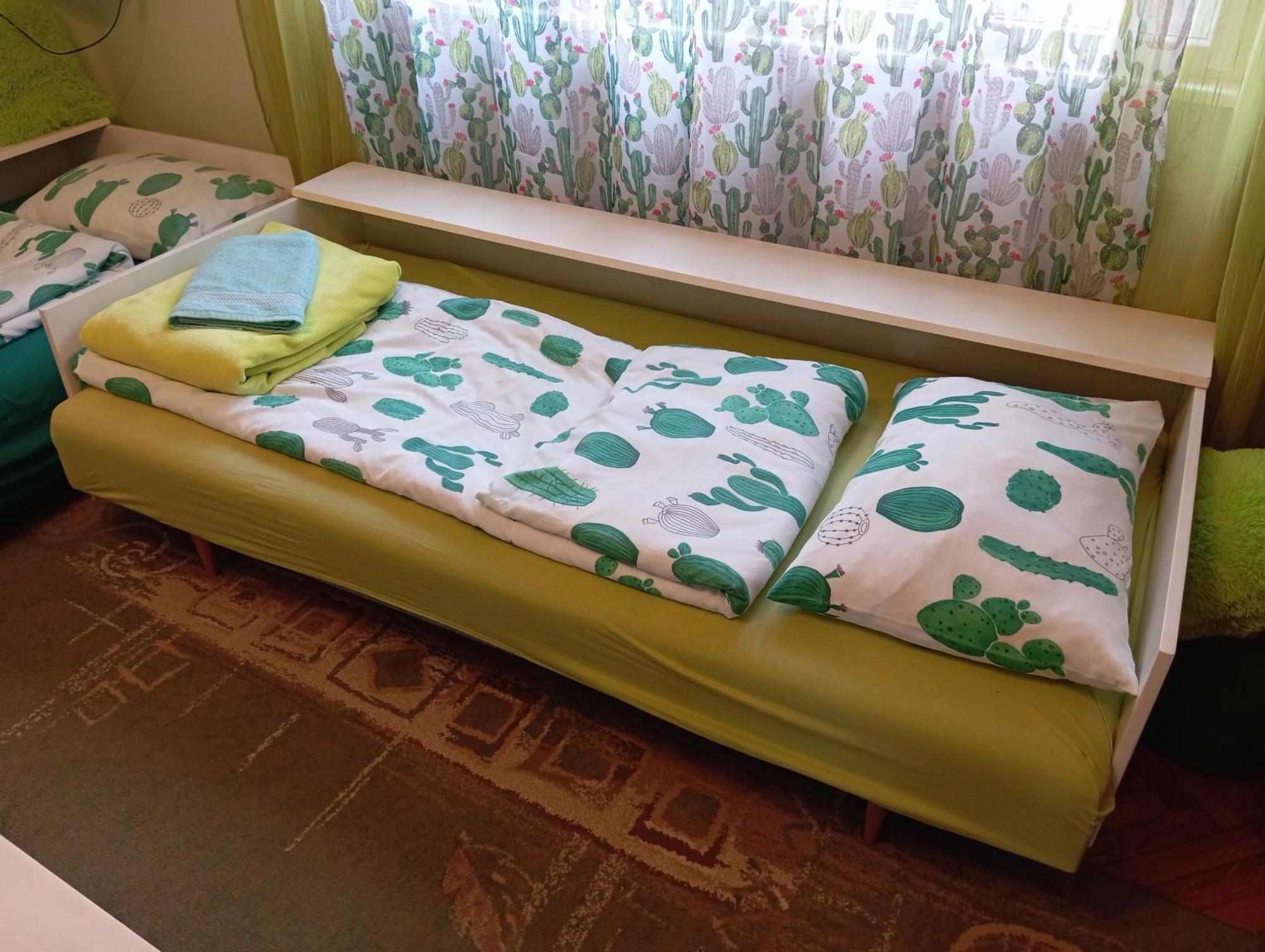 Green Cactus Rooms - Unique And Cozy House Senta المظهر الخارجي الصورة