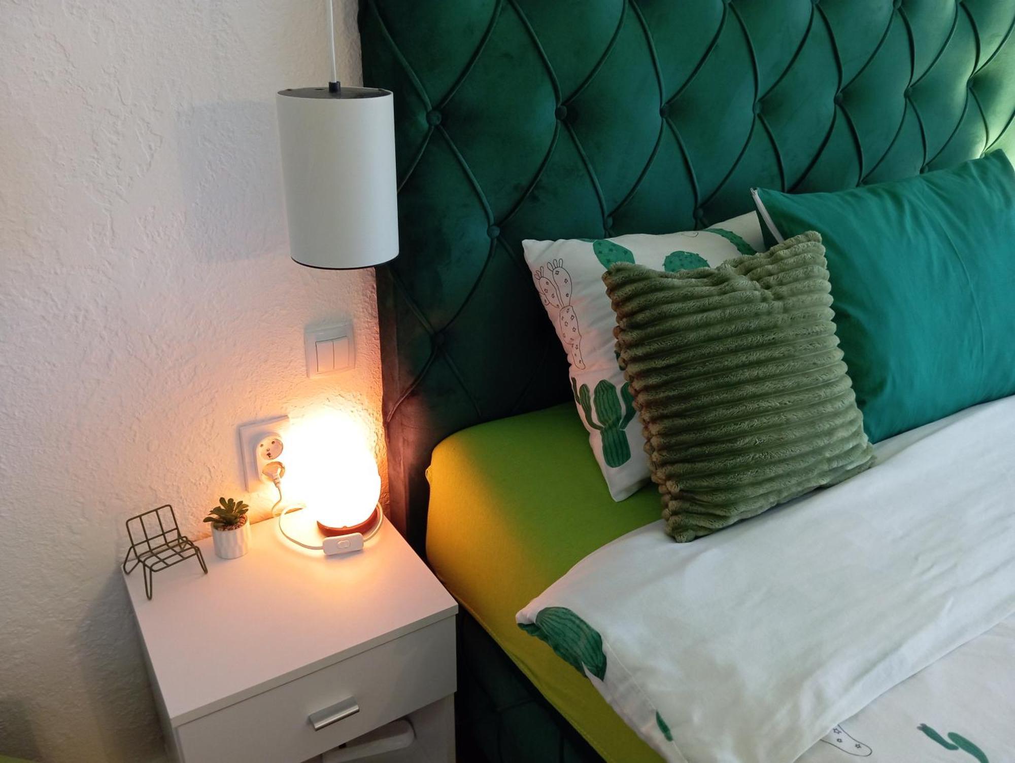 Green Cactus Rooms - Unique And Cozy House Senta المظهر الخارجي الصورة